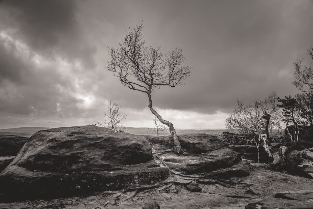 Krajobraz - <p>Dla miłośników pięknych widoków.</p>
<p>Członkowie zespołu regularnie organizują plenery w malowniczych miejscach, tych bliższych i tych dalszych. To doskonała okazja, aby doskonalić umiejętność uchwycenia światła, kompozycji i naturalnych detali w otoczeniu.</p>
<p>Lider: Arkadiusz Siuda</p>
