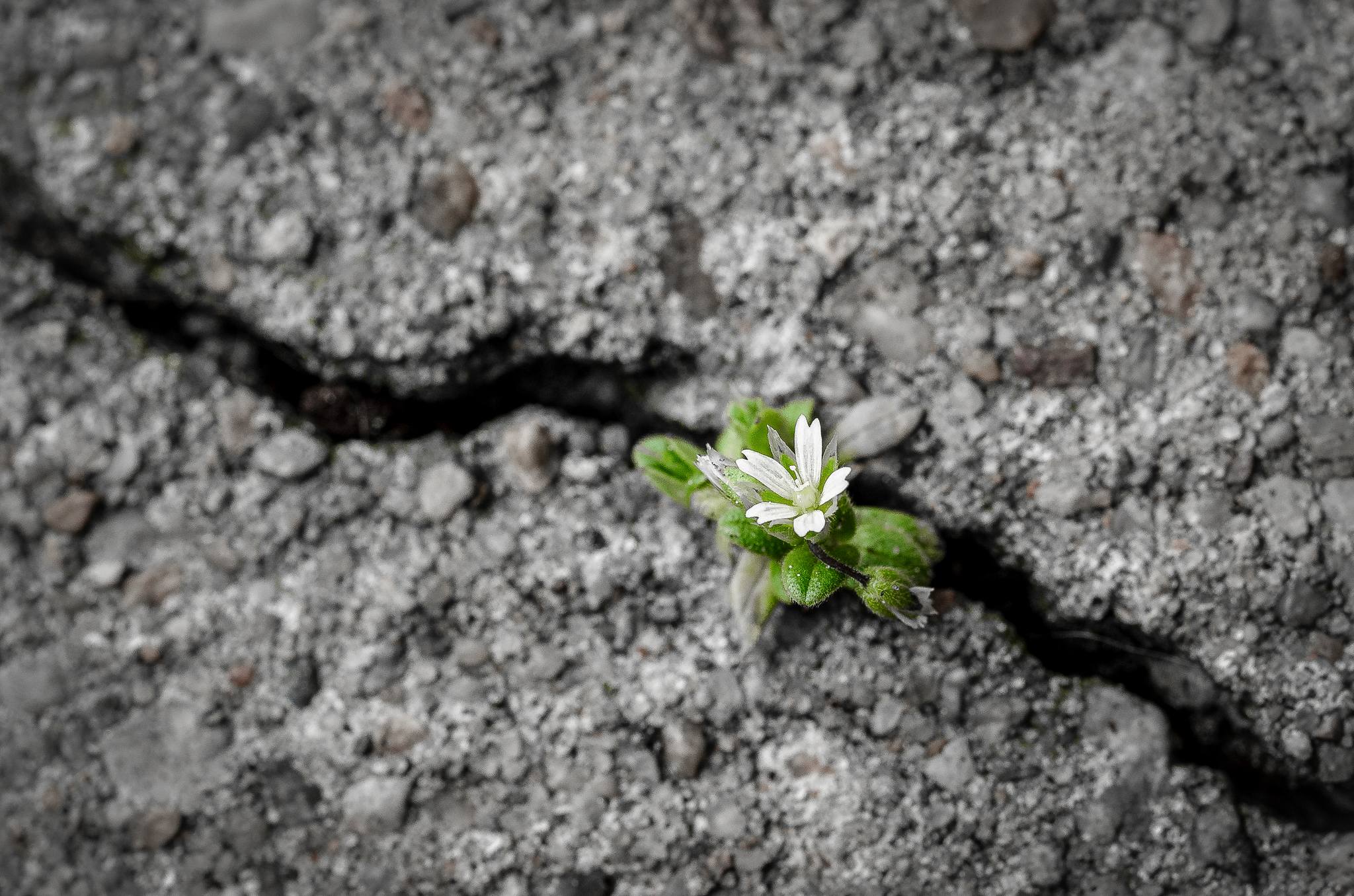 Konkurs wew. „Siła natury”